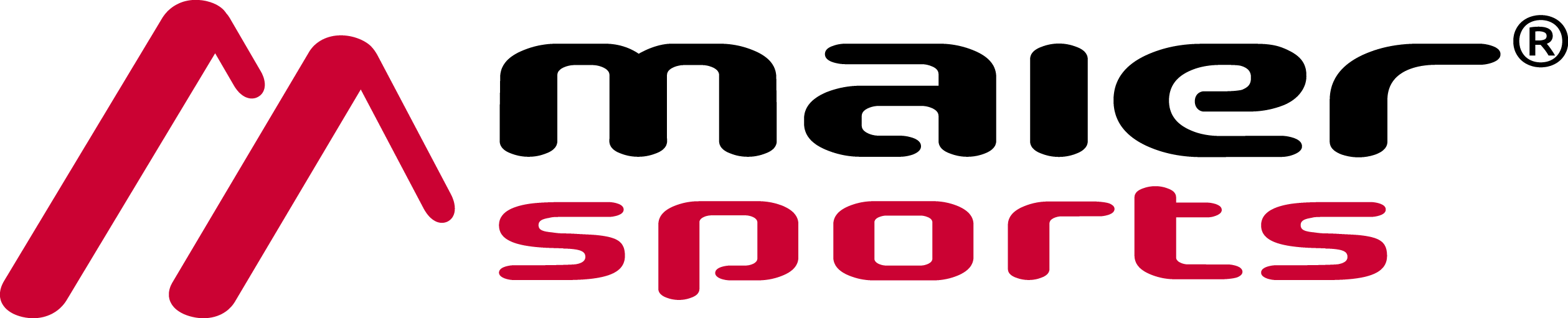 meier sport