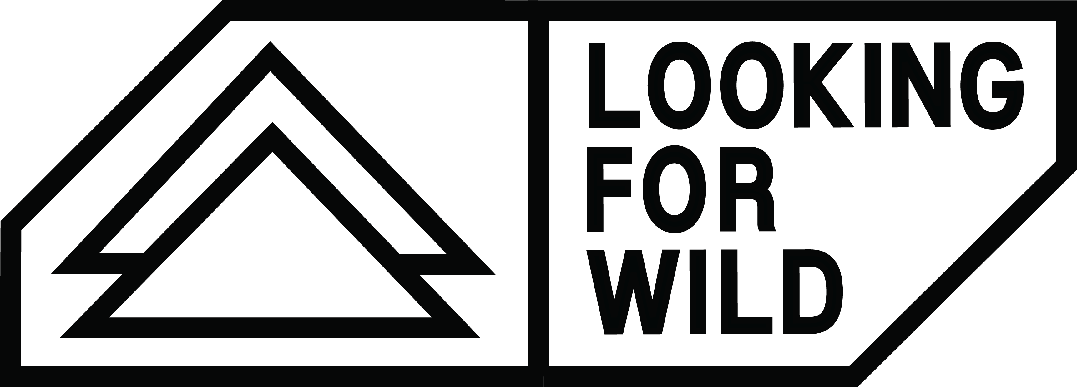Jobs At Looking For Wild Sportyjob